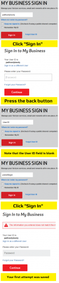 Verizon Login Bug - Test Method